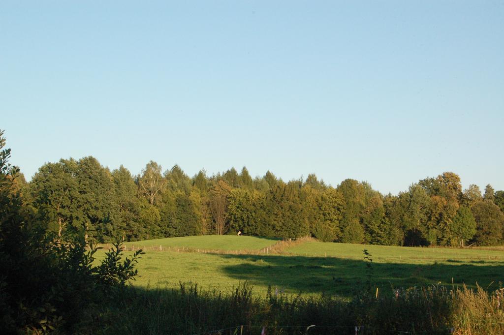 Stara Papiernia Zielony Lasek Krutynski Piecek 外观 照片