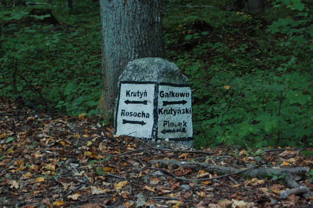 Stara Papiernia Zielony Lasek Krutynski Piecek 外观 照片